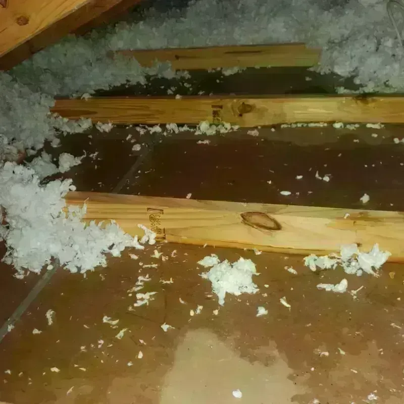 Attic Water Damage in Hanover, MA