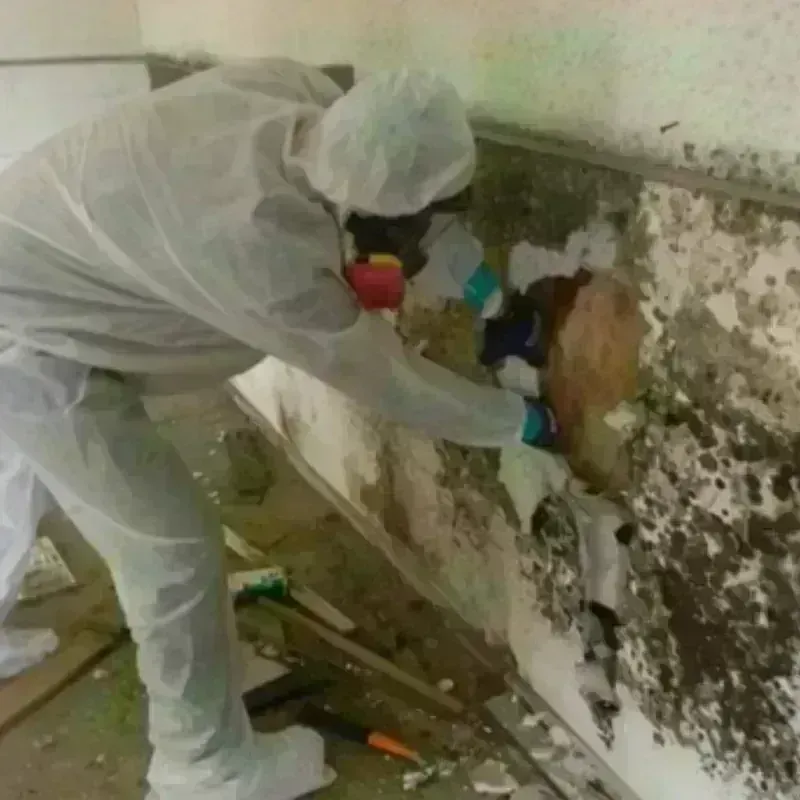 Mold Remediation and Removal in Hanover, MA